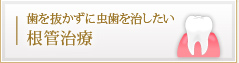 歯を抜かずに虫歯を治したい 根管治療