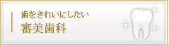 歯をきれいにしたい 審美歯科